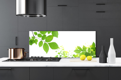 Panneaux de cuisine en verre Fleurs feuilles floral blanc vert