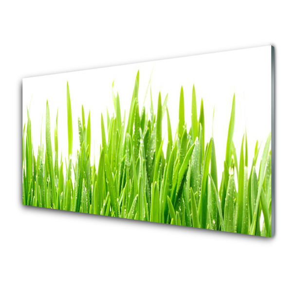 Panneaux de cuisine en verre Herbe nature vert