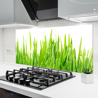 Panneaux de cuisine en verre Herbe nature vert