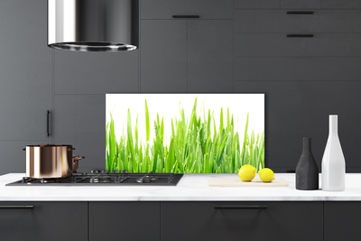 Panneaux de cuisine en verre Herbe nature vert