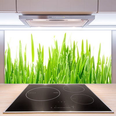 Panneaux de cuisine en verre Herbe nature vert