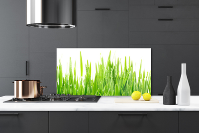 Panneaux de cuisine en verre Herbe nature vert