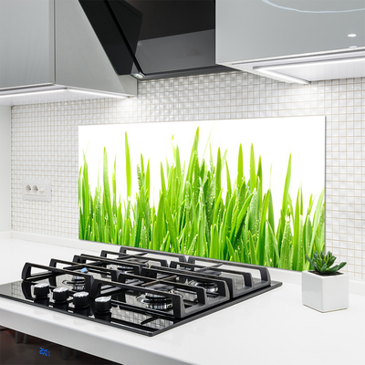 Panneaux de cuisine en verre Herbe nature vert