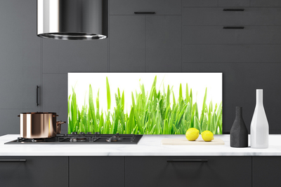 Panneaux de cuisine en verre Herbe nature vert