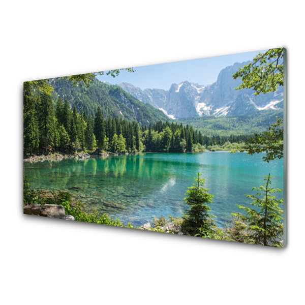 Panneaux de cuisine en verre Montagnes lac forêt nature gris vert bleu