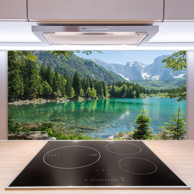 Panneaux de cuisine en verre Montagnes lac forêt nature gris vert bleu