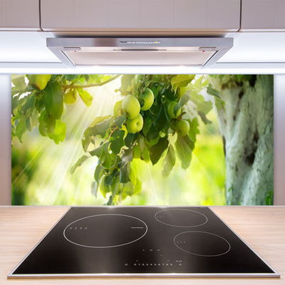 Panneaux de cuisine en verre Pommes branche cuisine vert brun