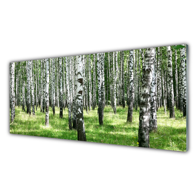 Panneaux de cuisine en verre Forêt nature noir blanc vert