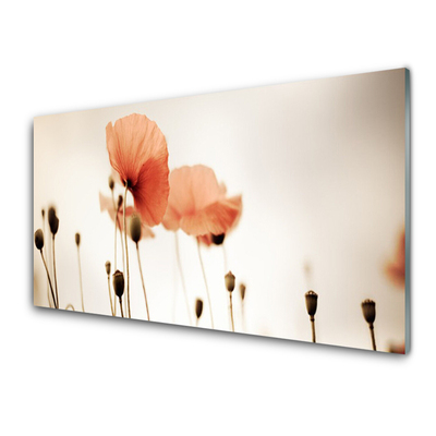 Panneaux de cuisine en verre Coquelicots floral rouge