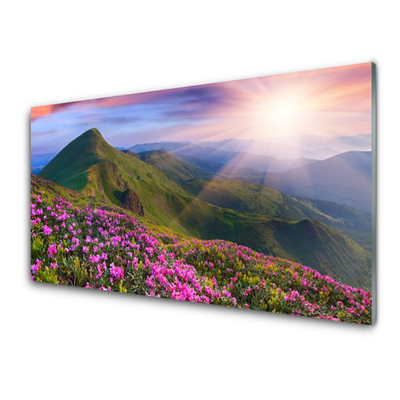 Panneaux de cuisine en verre Montagnes prairie fleurs paysage bleu vert rose