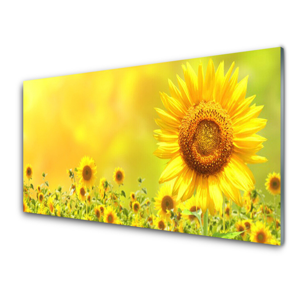 Panneaux de cuisine en verre Tournesol floral jaune brun