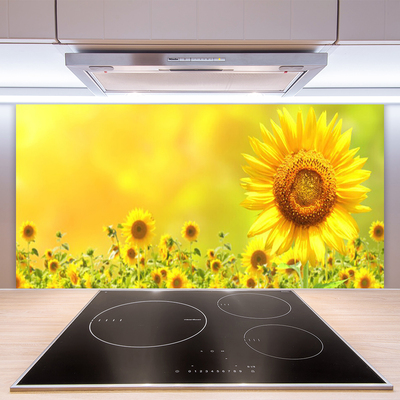 Panneaux de cuisine en verre Tournesol floral jaune brun