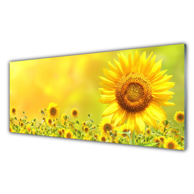 Panneaux de cuisine en verre Tournesol floral jaune brun