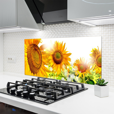 Panneaux de cuisine en verre Tournesol floral jaune brun