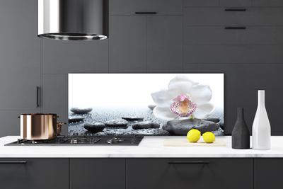 Panneaux de cuisine en verre Pierres fleurs art blanc noir