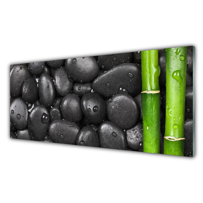 Panneaux de cuisine en verre Pierres bambou art vert noir