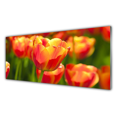 Panneaux de cuisine en verre Tulipes floral jaune rouge