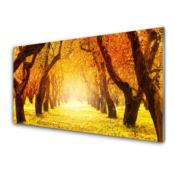 Panneaux de cuisine en verre Forêt sentier nature brun jaune