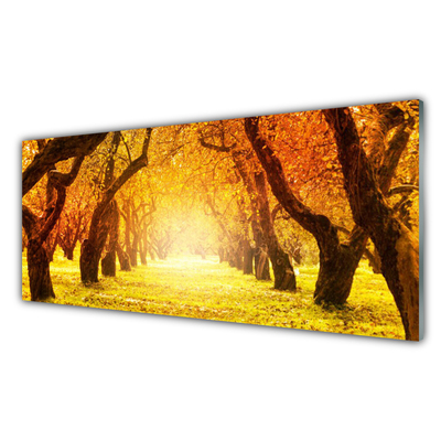 Panneaux de cuisine en verre Forêt sentier nature brun jaune