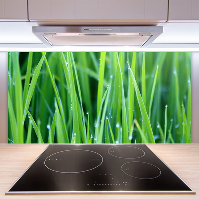 Panneaux de cuisine en verre Herbe nature vert