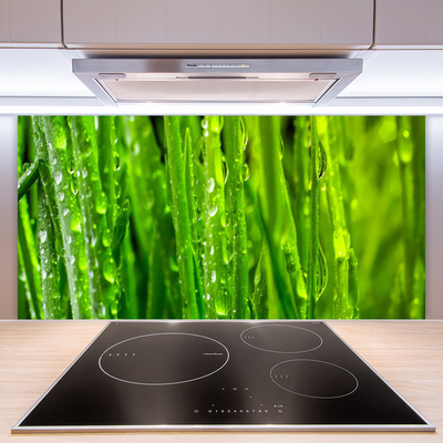 Panneaux de cuisine en verre Herbe nature vert