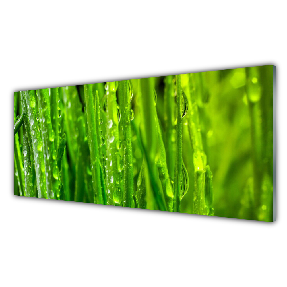Panneaux de cuisine en verre Pierres herbe art noir vert