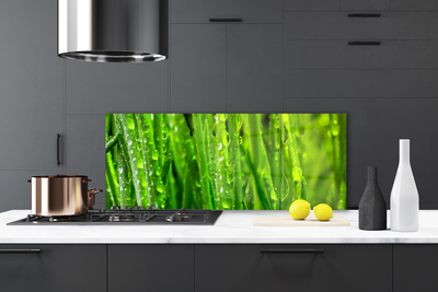 Panneaux de cuisine en verre Herbe nature vert