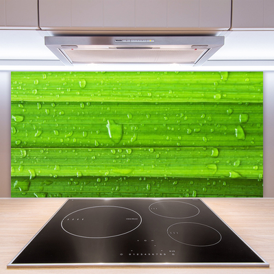 Panneaux de cuisine en verre Herbe nature vert