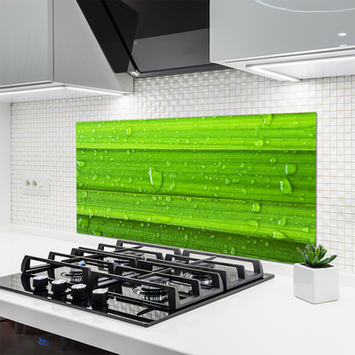 Panneaux de cuisine en verre Herbe nature vert