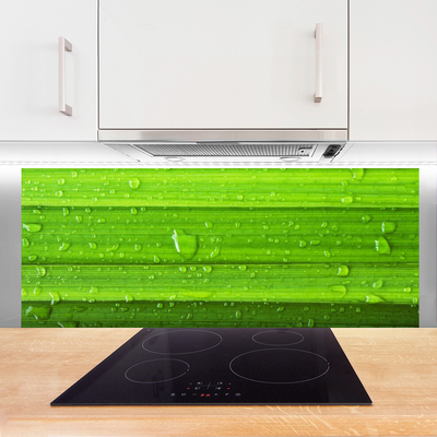 Panneaux de cuisine en verre Herbe nature vert