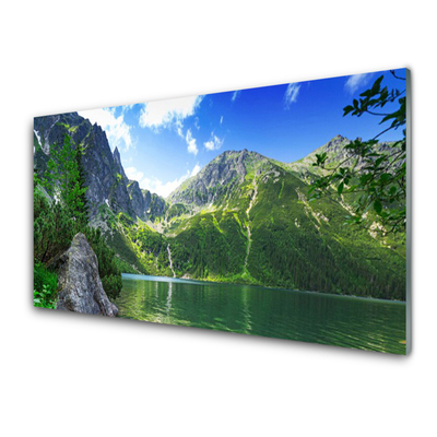 Panneaux de cuisine en verre Montagne lac nature gris vert
