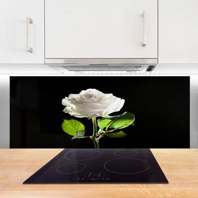 Panneaux de cuisine en verre Rose floral blanc