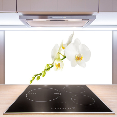 Panneaux de cuisine en verre Fleurs floral blanc