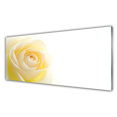 Panneaux de cuisine en verre Rose floral blanc jaune