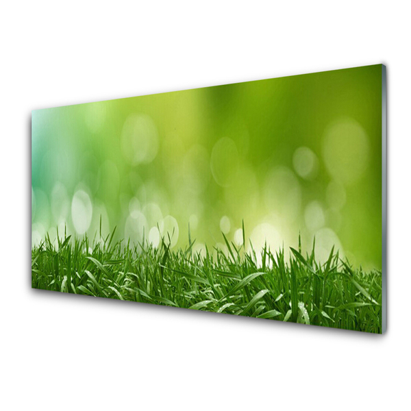 Panneaux de cuisine en verre Herbe nature vert