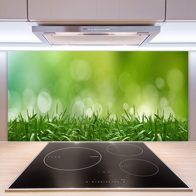 Panneaux de cuisine en verre Herbe nature vert