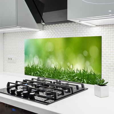 Panneaux de cuisine en verre Herbe nature vert