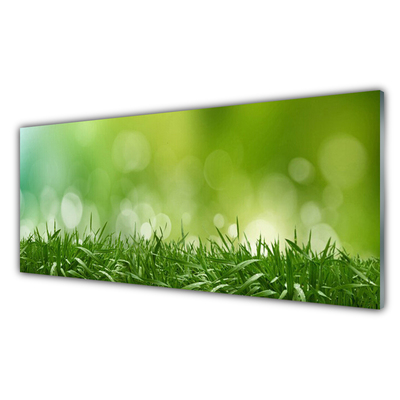 Panneaux de cuisine en verre Herbe nature vert