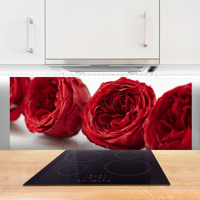 Panneaux de cuisine en verre Roses floral rouge