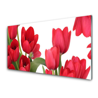 Panneaux de cuisine en verre Tulipes floral rouge