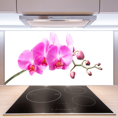 Panneaux de cuisine en verre Fleurs floral rose