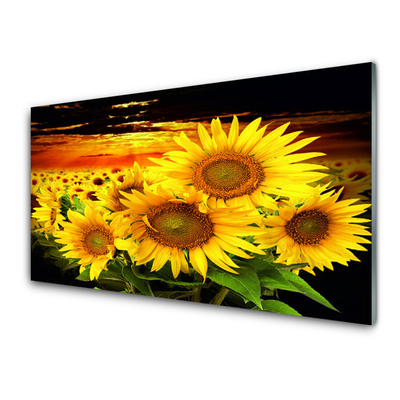 Panneaux de cuisine en verre Tournesol floral jaune brun