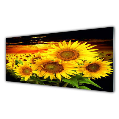 Panneaux de cuisine en verre Tournesol floral jaune brun