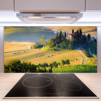 Panneaux de cuisine en verre Arbres champ paysage vert brun