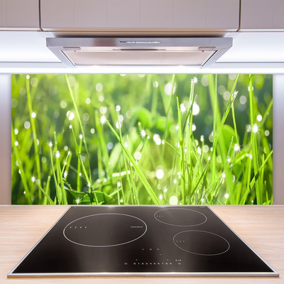 Panneaux de cuisine en verre Herbe nature vert