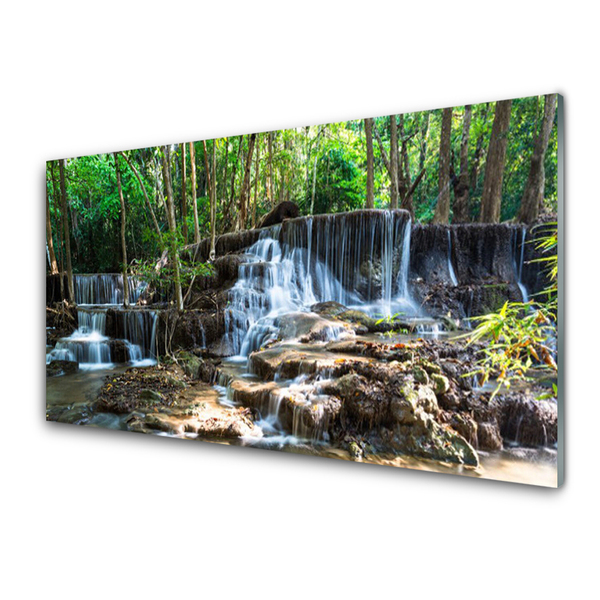 Panneaux de cuisine en verre Forêt chute d'eau nature brun vert blanc