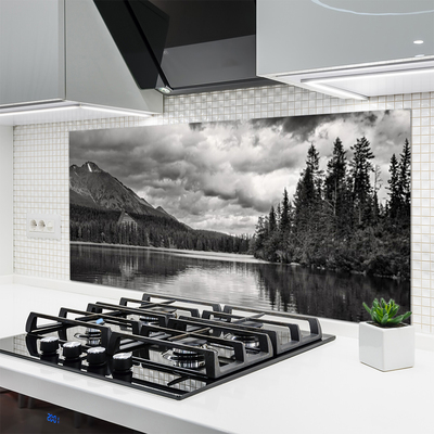 Panneaux de cuisine en verre Montagnes forêt lac nature gris