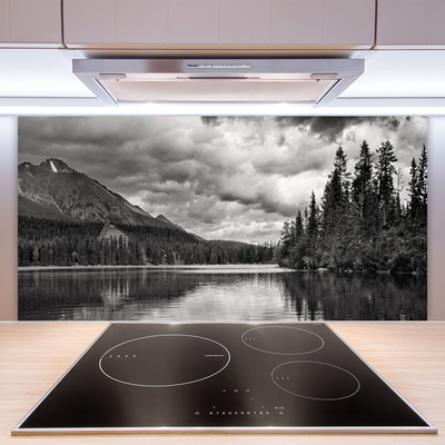 Panneaux de cuisine en verre Montagnes forêt lac nature gris
