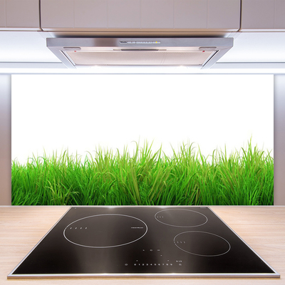 Panneaux de cuisine en verre Herbe nature vert