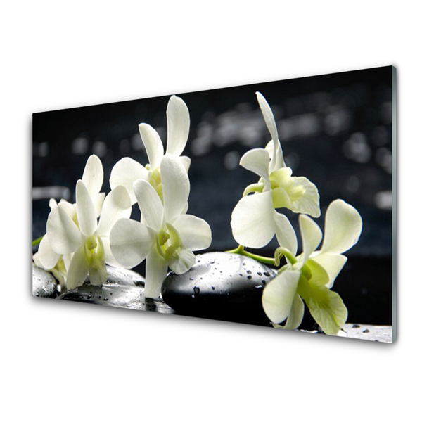 Panneaux de cuisine en verre Pierres fleurs floral blanc noir